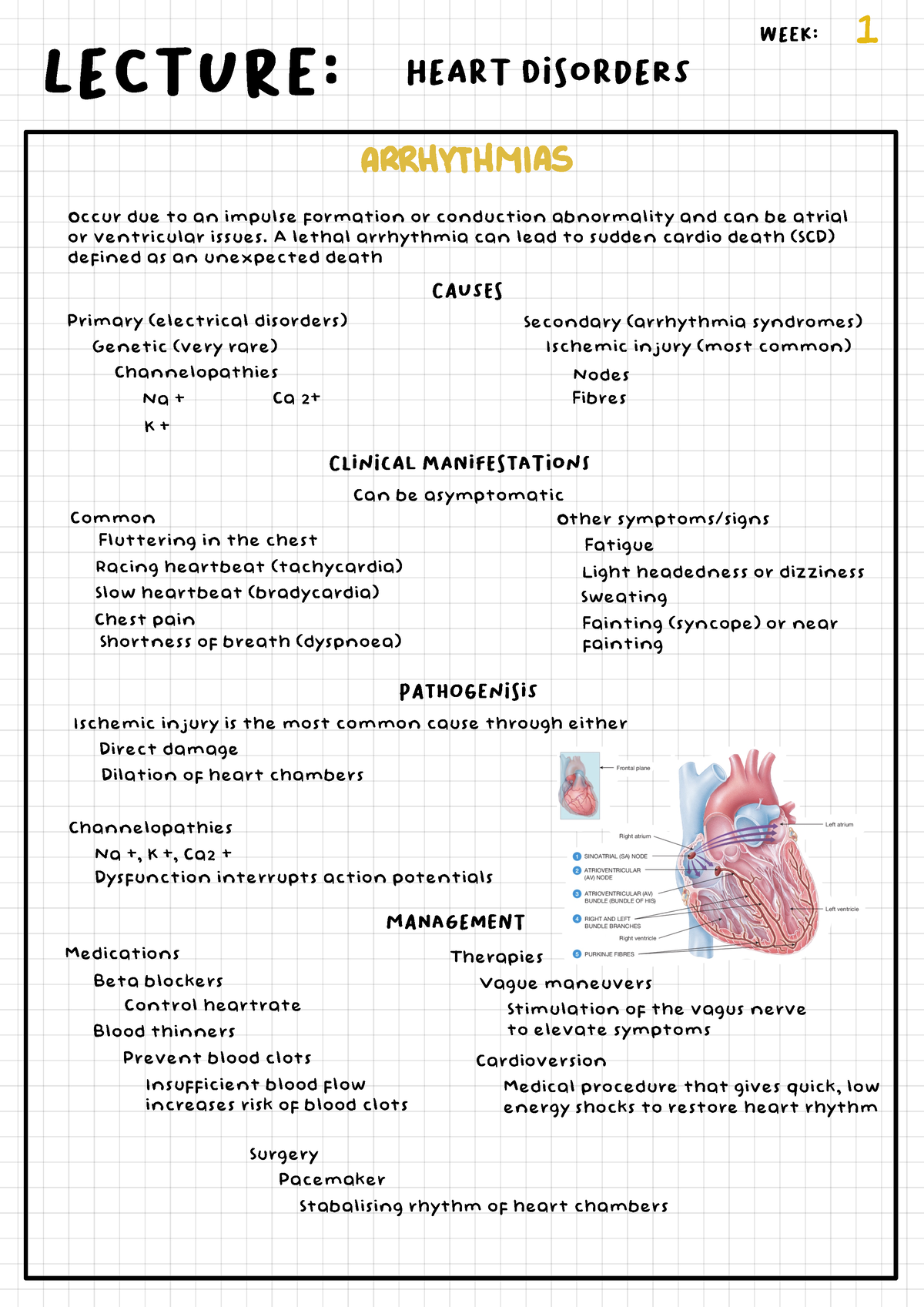 Cardiovascular Disorders 12 - L!