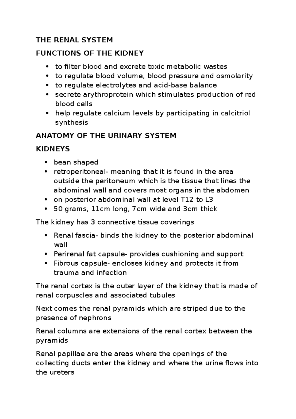 THE Renal System - notes - THE RENAL SYSTEM FUNCTIONS OF THE KIDNEY to ...