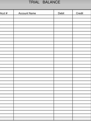 Bookkeeping to Trial Balance - Study Notes copy - Bookkeeping to Trial ...