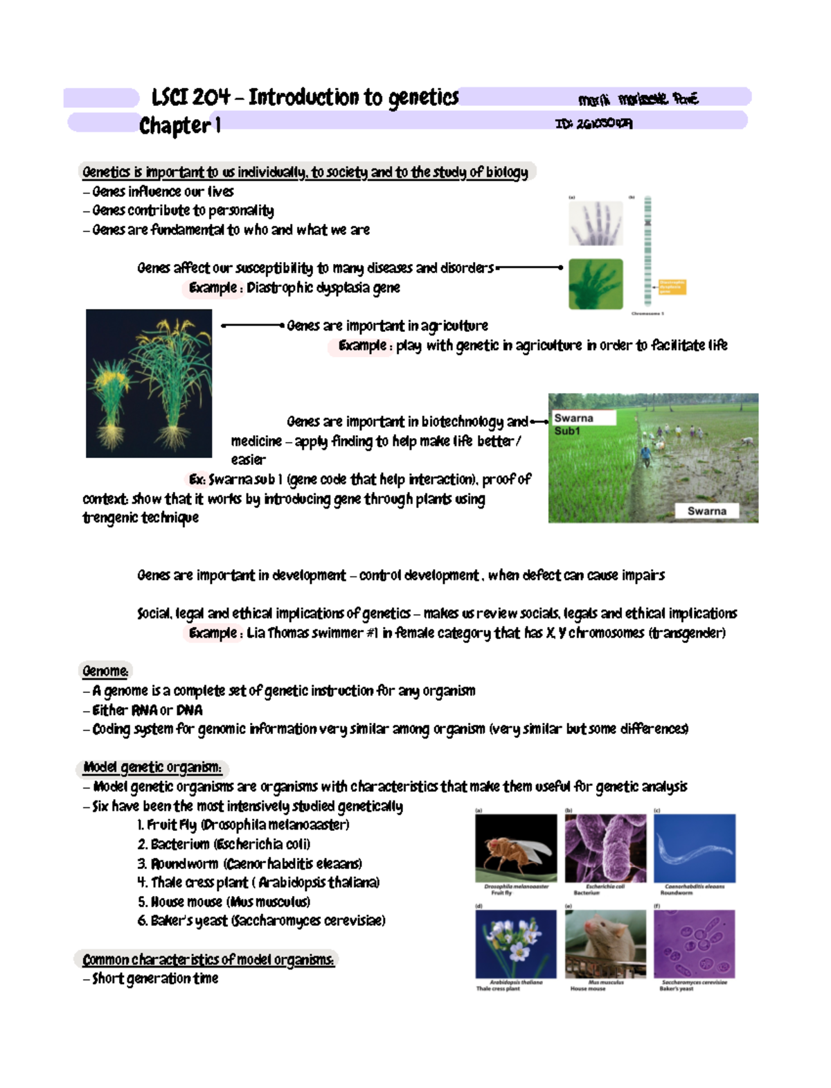 Genetic - Chapter 1 - Notes For The First Lesson Of The Course - LSCI ...