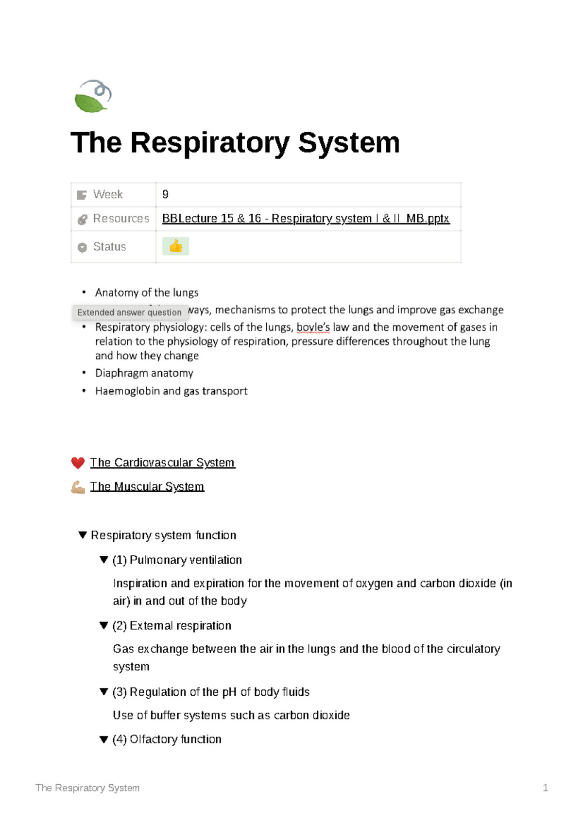 The Respiratory System - 🍃 The Respiratory System Week 9 Resources ...