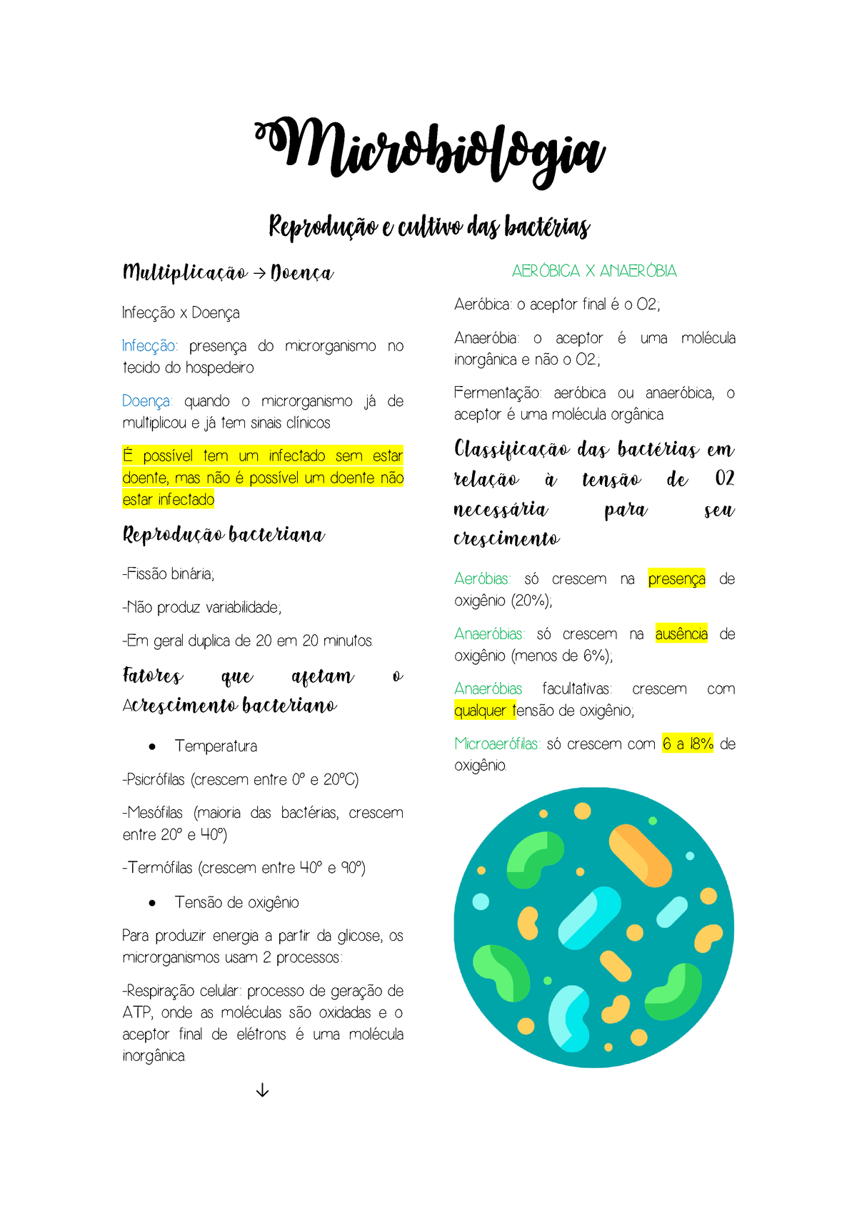 Reprodu Ã§Ã£o E Cultivo Das Bact Ã©️rias - Microbiologia - USCS - Studocu