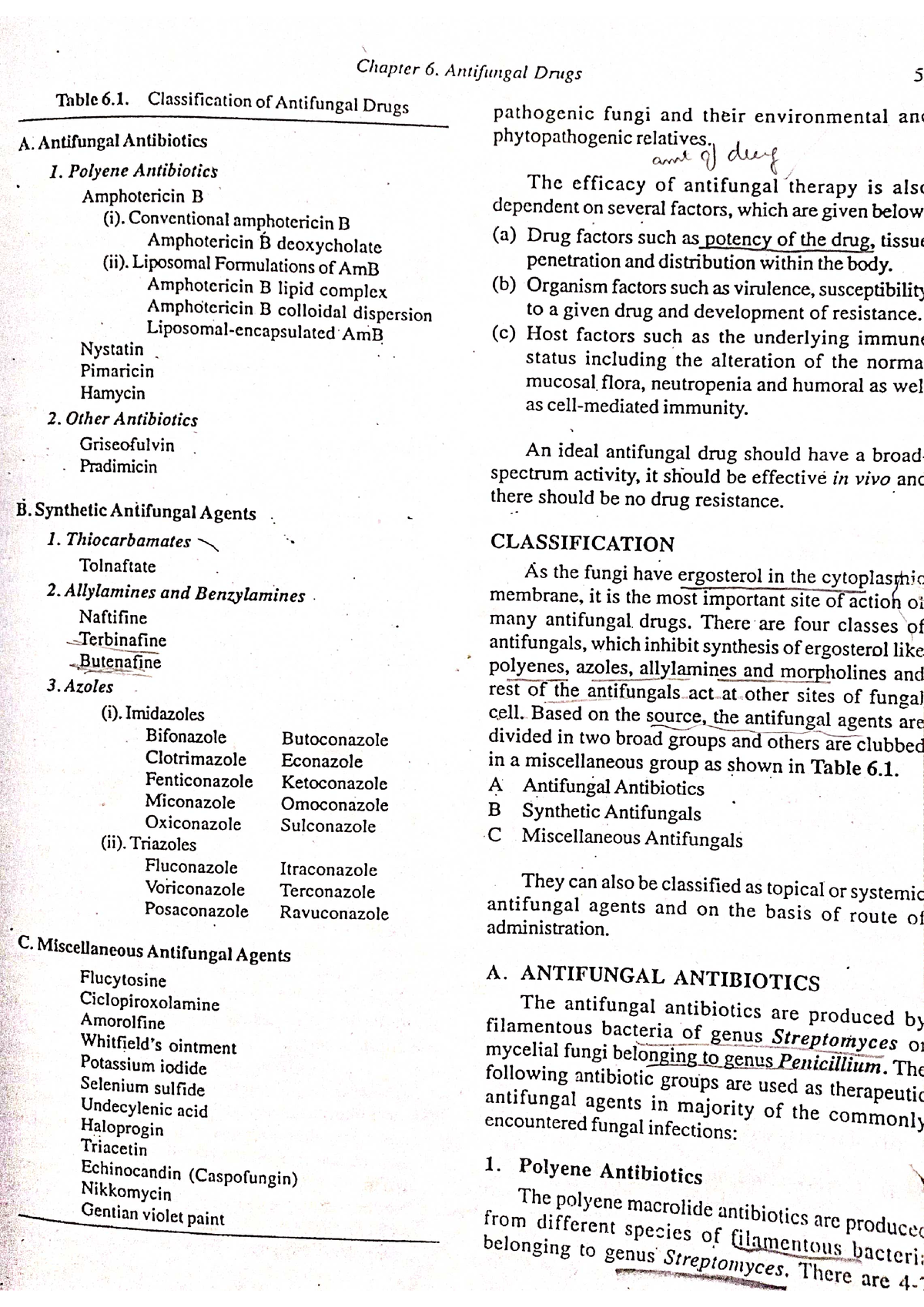 Antifungal Agents - Microbiology - Studocu