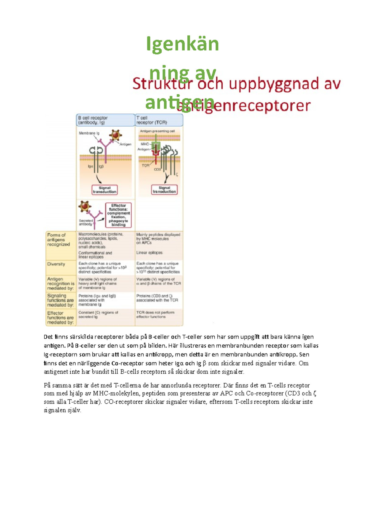 Immunologi-föreläsning-3 - Det Finns Särskilda Receptorer Båda På B ...