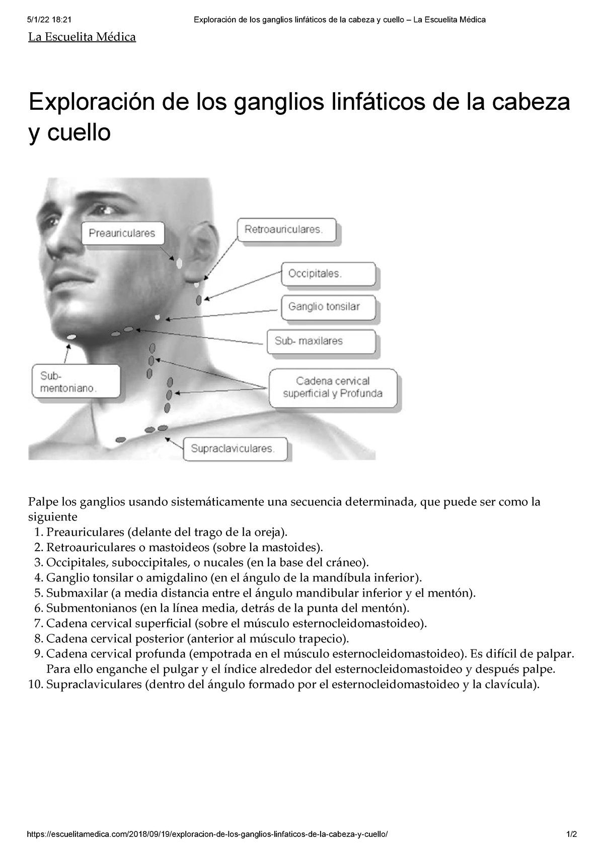 Exploraci N De Los Ganglios Linf Ticos De La Cabeza Y Cuello La