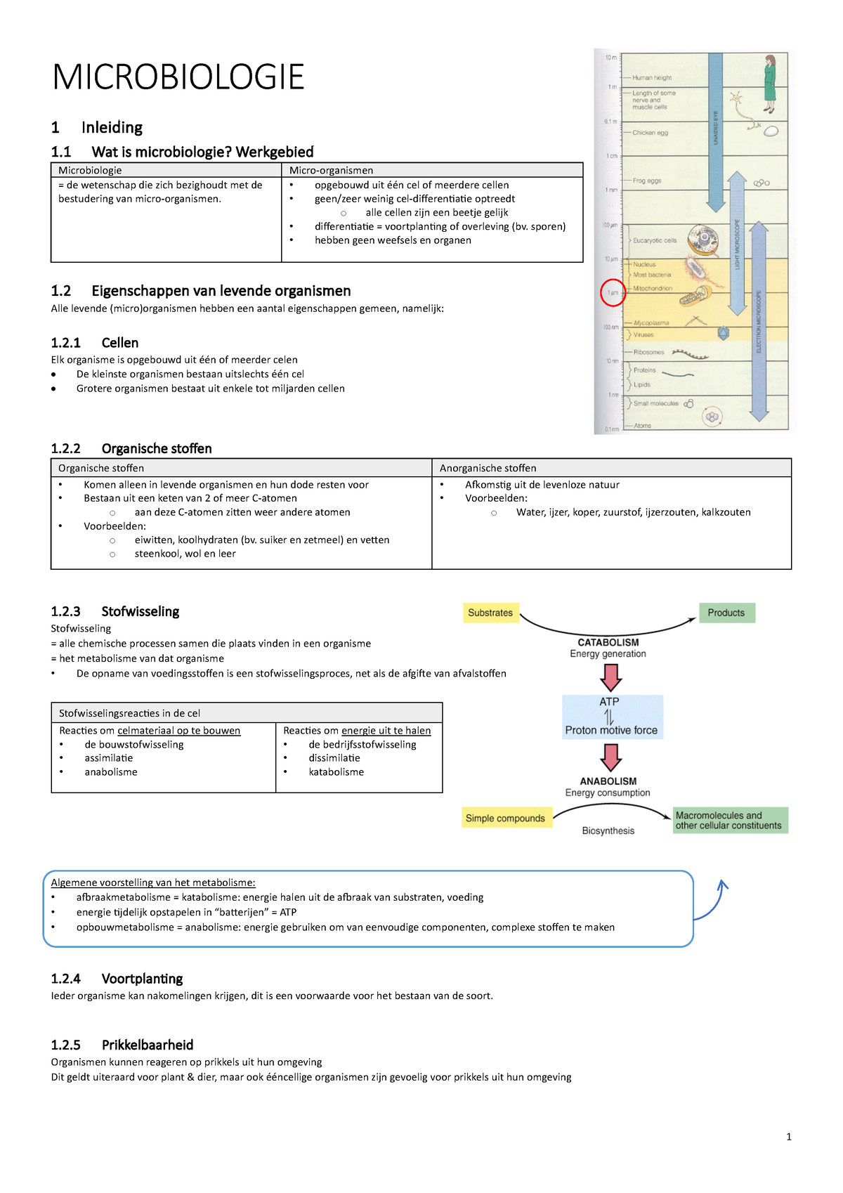 SMV Microbiologie - Onvolledig - MICROBIOLOGIE 1 Inleiding 1 Wat Is ...