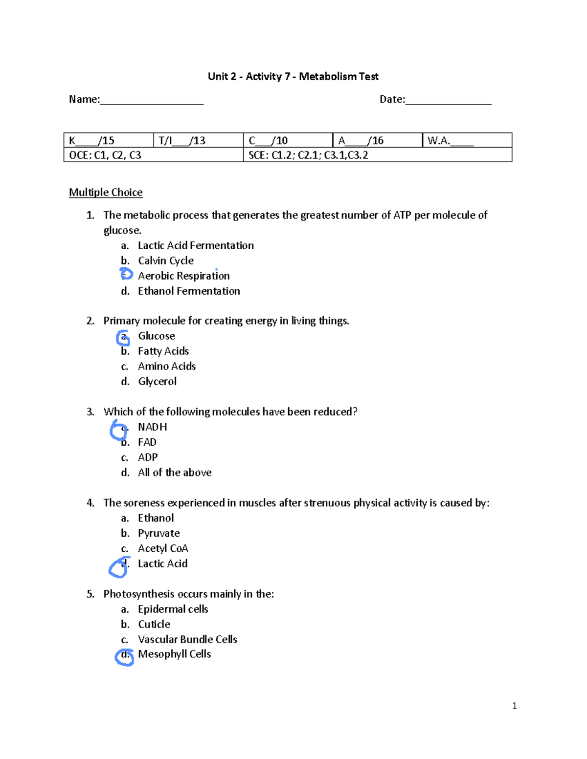 Unit Activity Metabolism Test The Metabolic Process That Generates The Greatest Number