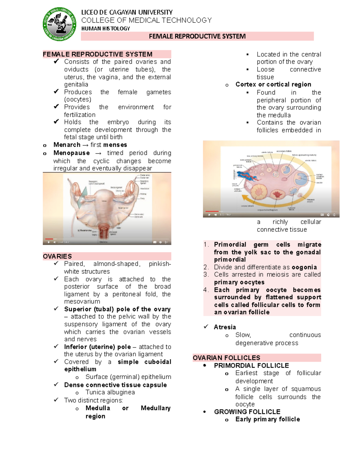 Female Reproductive System - FEMALE REPRODUCTIVE SYSTEM Consists of the ...