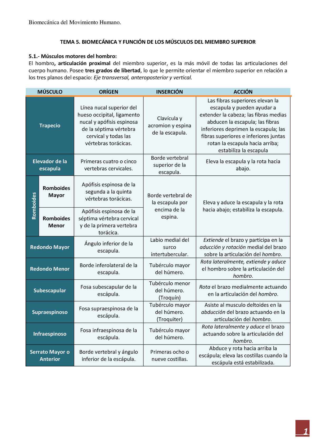 Tema 5. Biomecánica Y Función De Los Musculos Del Miembro Superior ...