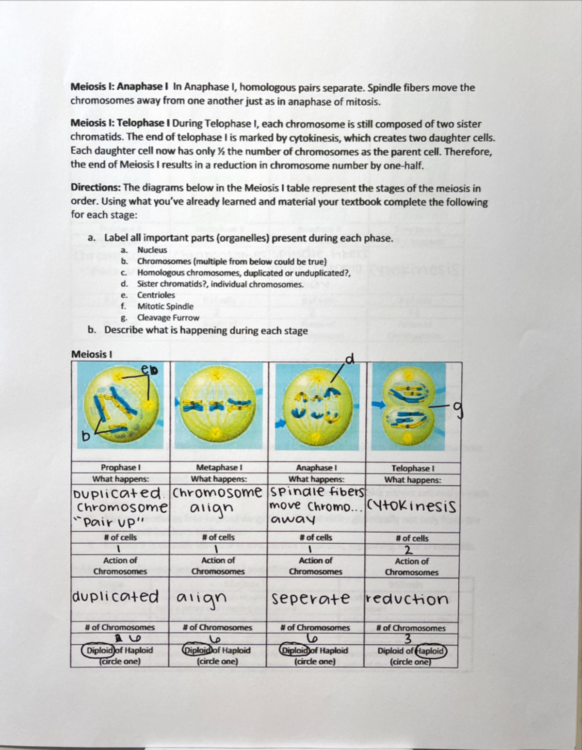 BIO 101 lab 6. Online - Lab Work - BIOL 105 - Studocu