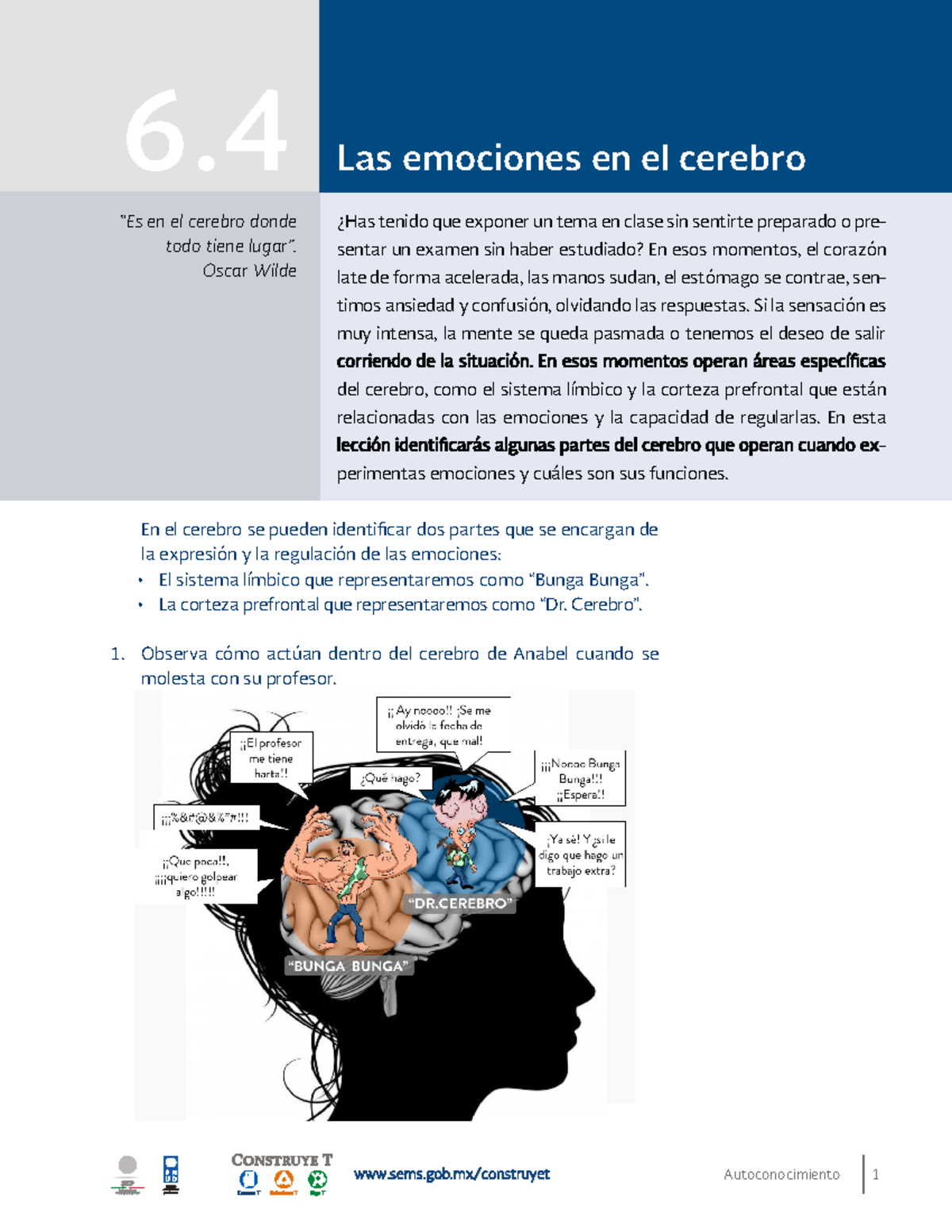 Las Emociones En El Cerebro Cexperimentales Pdf Las Emociones En