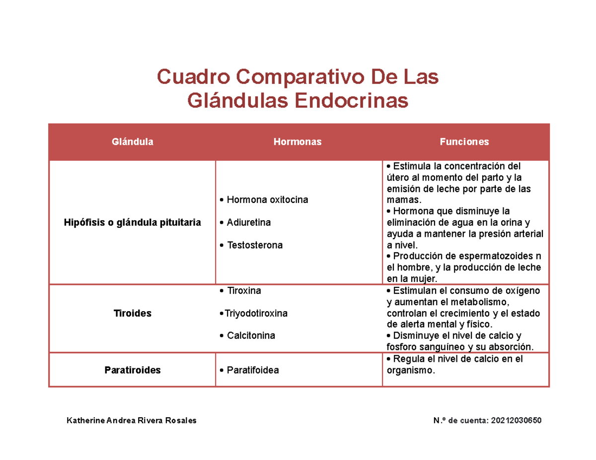 Rivera Katherine U3T2a3 doc - Cuadro Comparativo De Las Glándulas
