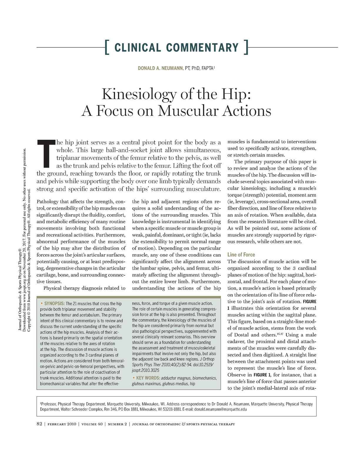 Kinesiology of the Hip - 82 | february 2010 | volume 40 | number 2 ...