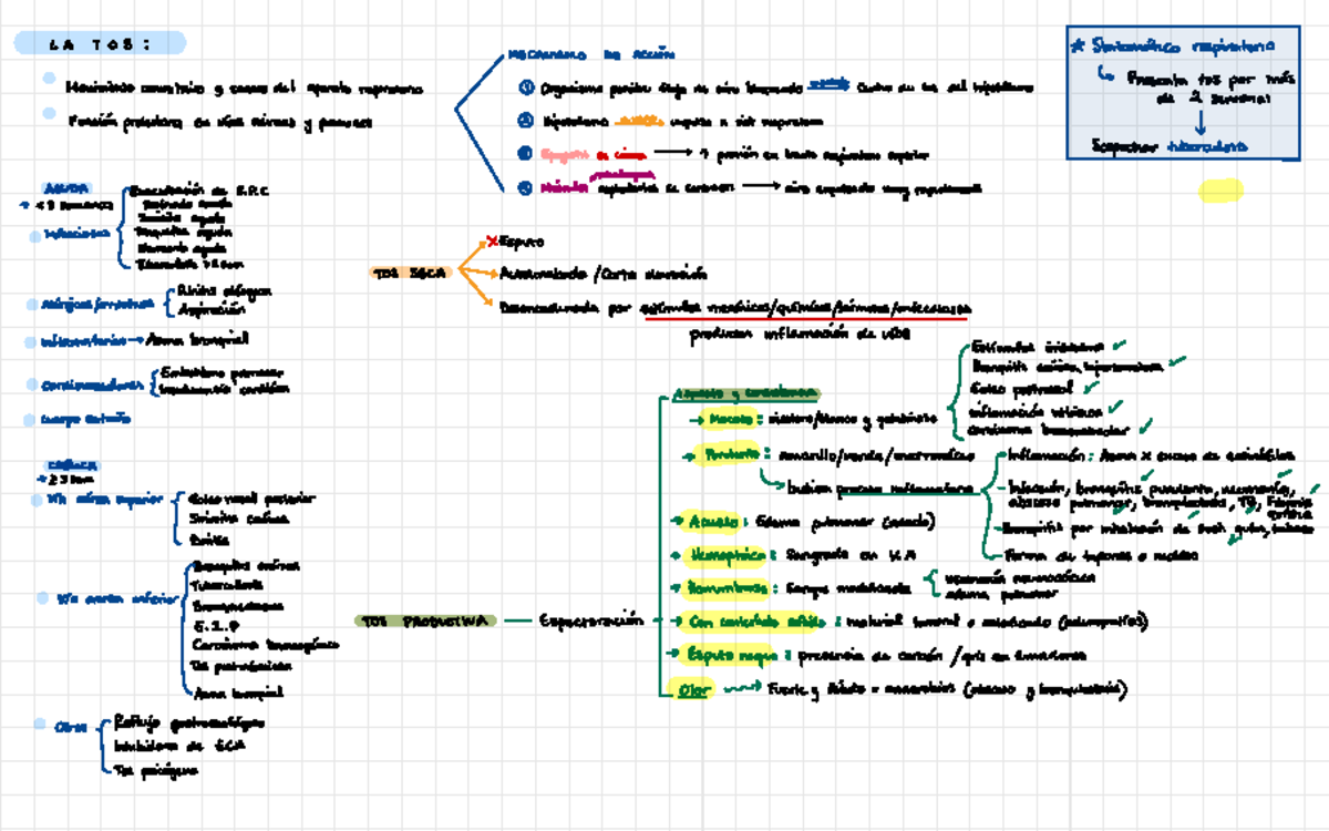 La Tos - apuntes para pasito sobre tos - transcripcion del video! - LA ...
