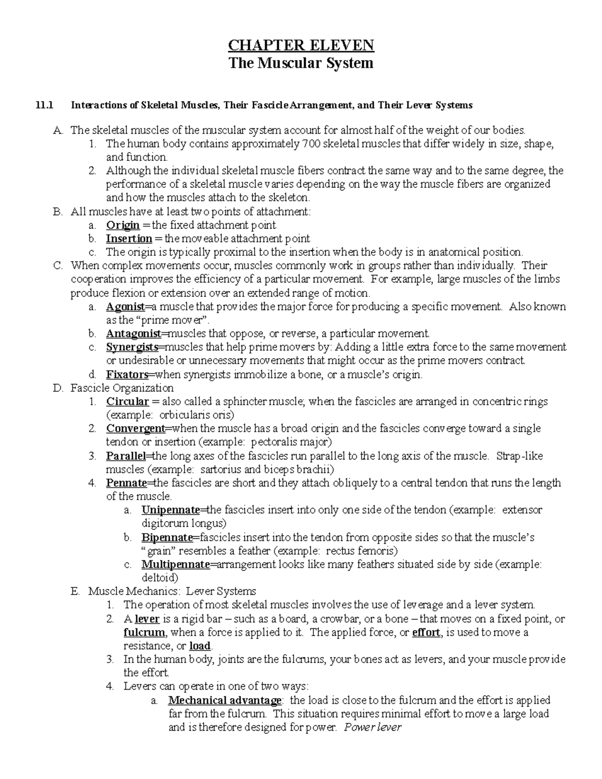 Chapter 11 Outline - CHAPTER ELEVEN The Muscular System 11 Interactions ...