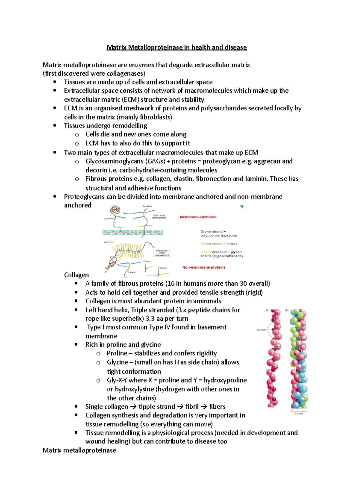 Matrix Metalloproteinase in health and disease - aggrecan and decorin i ...