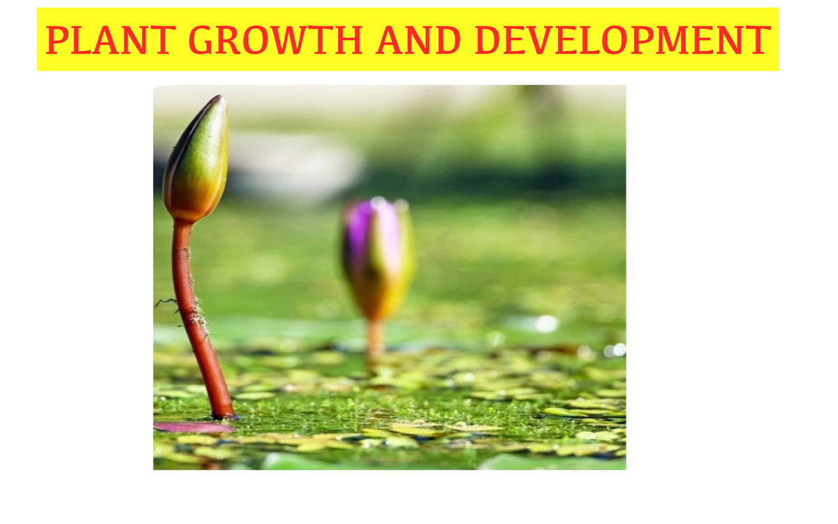 plant-growth-and-development-plant-growth-and-development-synopsis