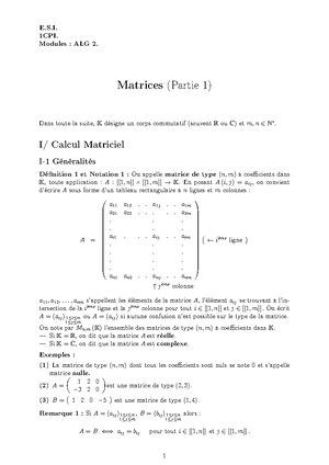 Cours espace vectoriel - E.S. 1CPI. Module : ALG2. Espaces Vectoriels ...