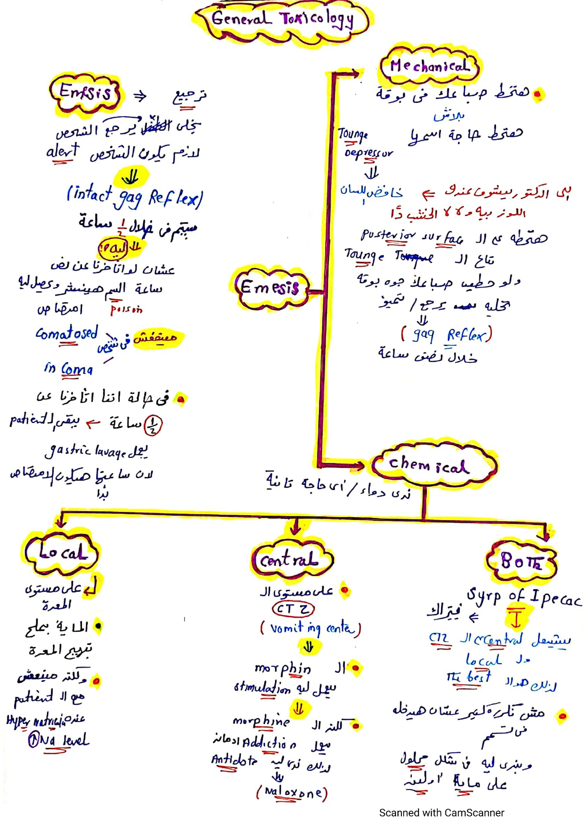 General toxicology part 2تفريغات #غيث - Pharmaceutical Organic ...