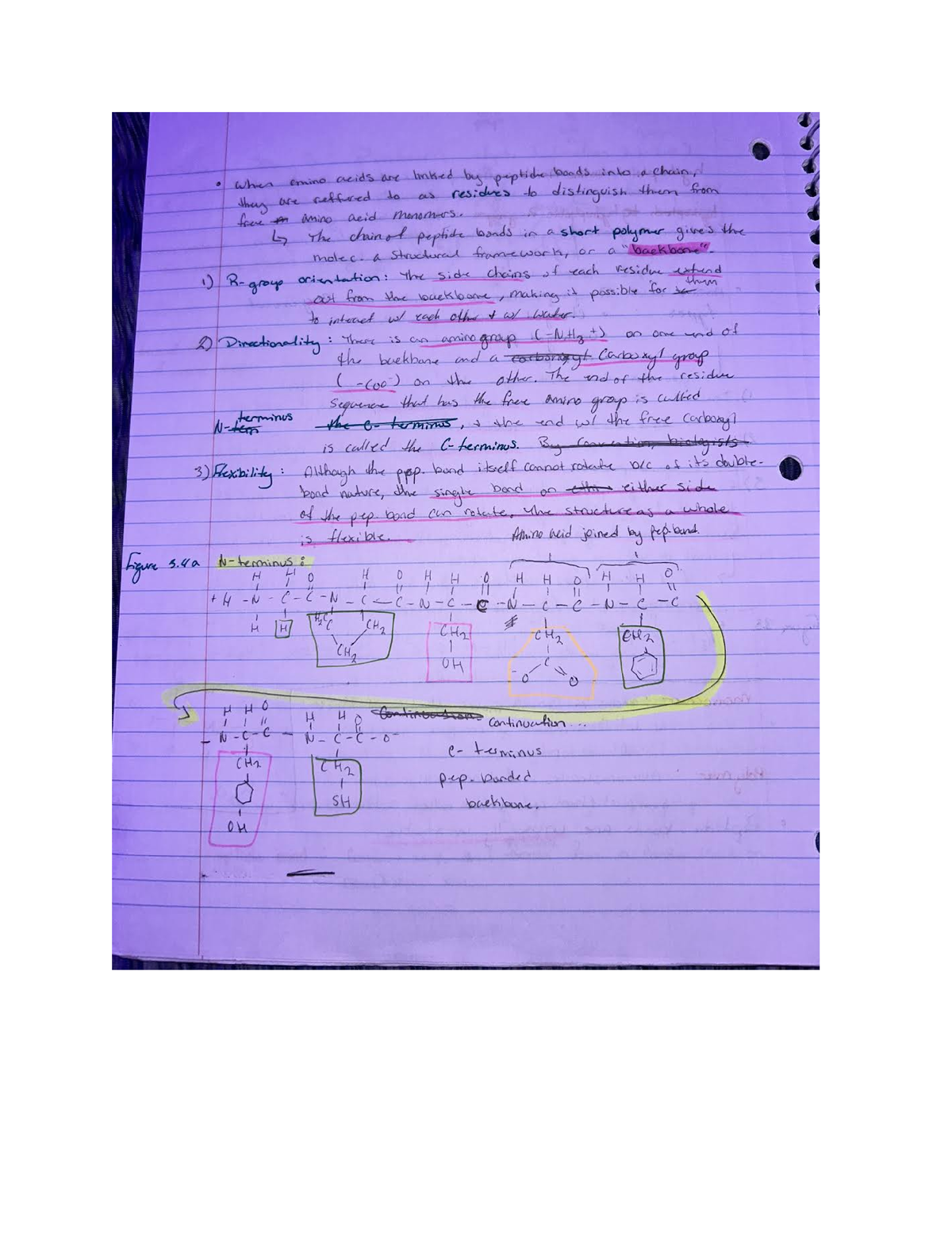 Bio 111 day 5 - lecture notes - BIO 111 - Studocu