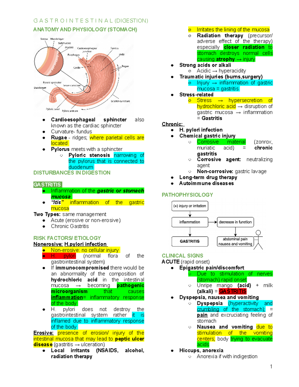 Lecture 2- GI Digestion - ANATOMY AND PHYSIOLOGY (STOMACH ...