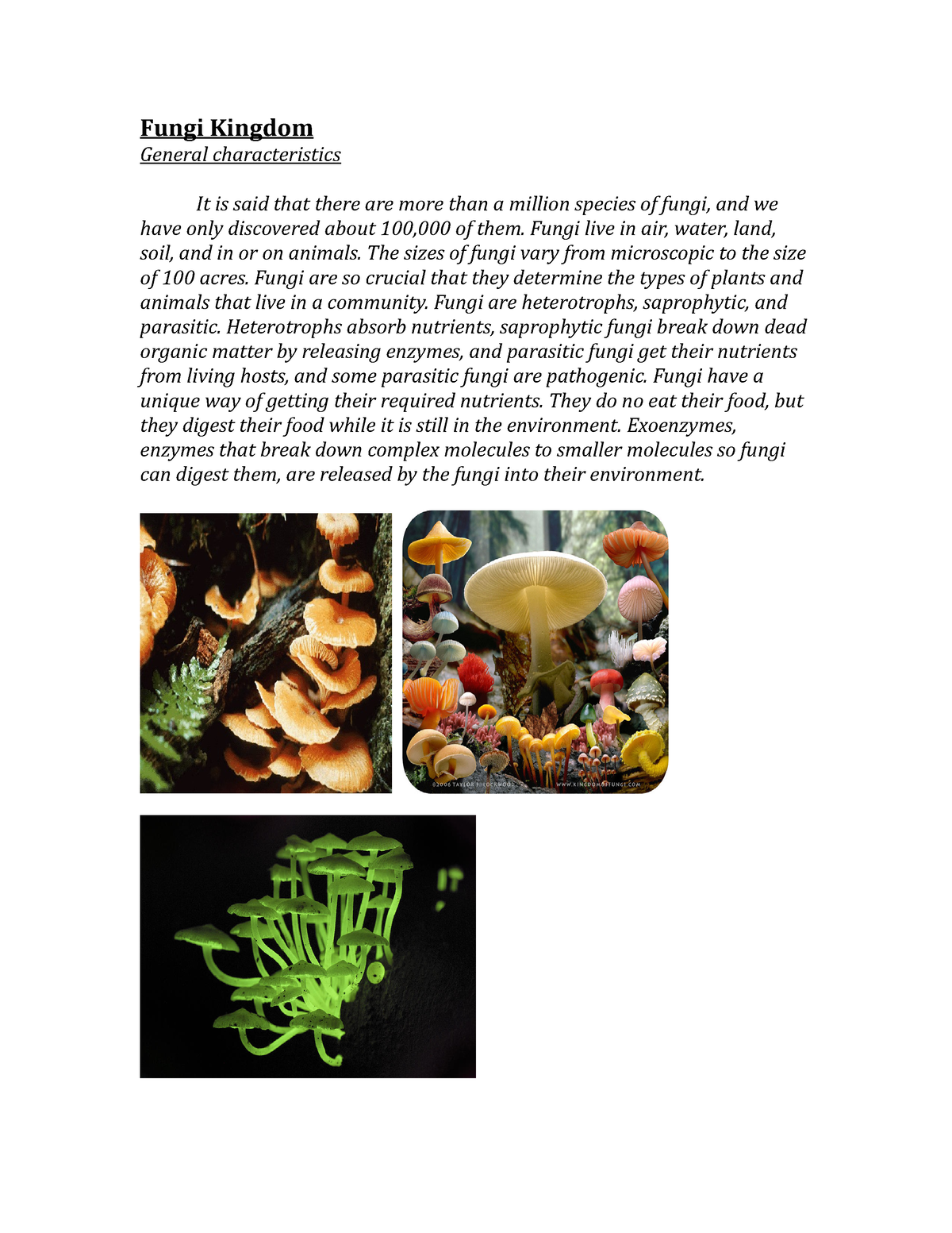 fungi-kingdom-fungi-kingdom-general-characteristics-it-is-said-that