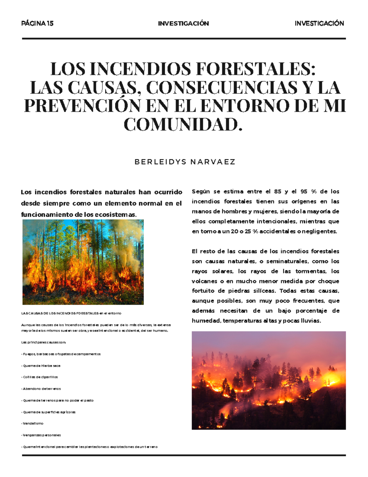 Examen Para La Próxima Semana De Esta Clase. - LOS INCENDIOS FORESTALES ...