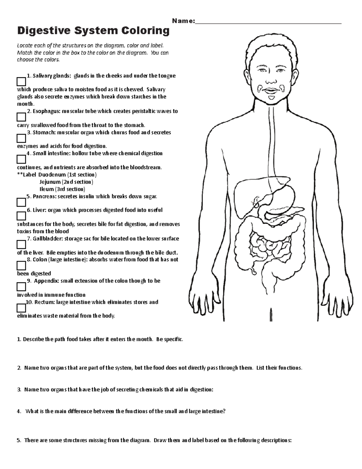 digestive-system-coloring-name