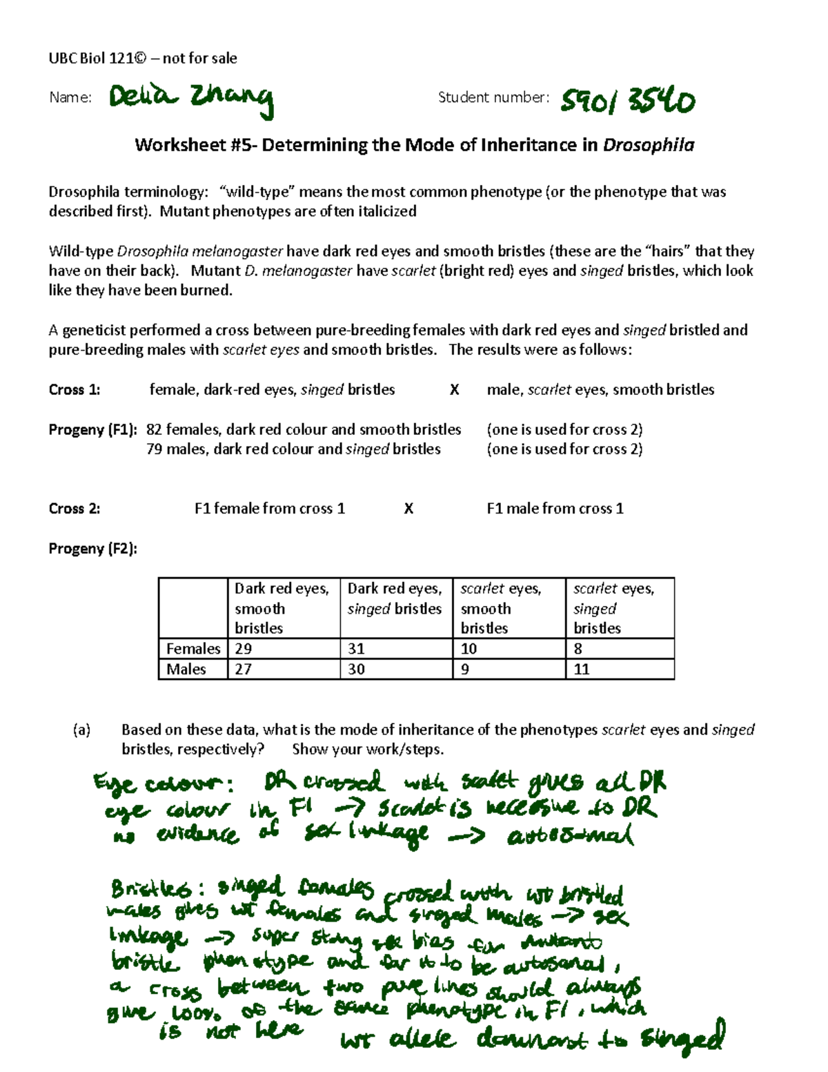 Worksheet 5 Fruit Fly Mode Of Inheritance UBC Biol 121© 3 not for