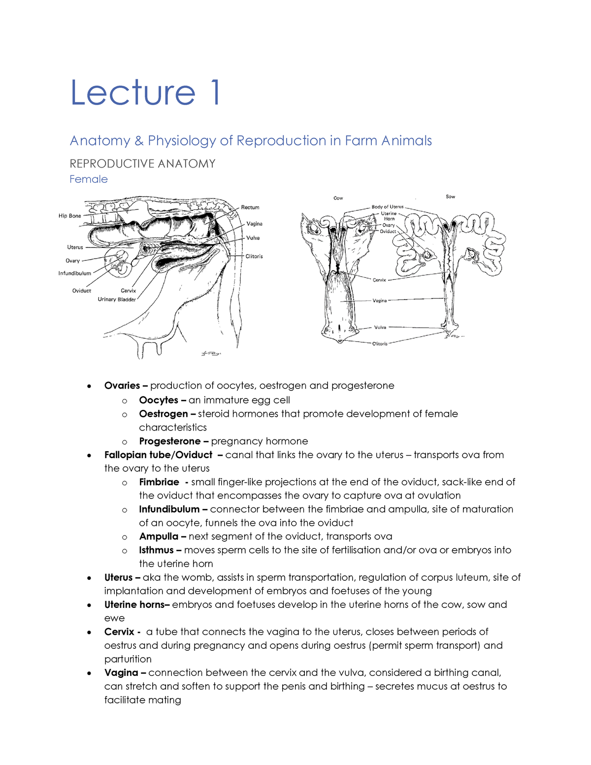 Lecture notes, lectures 1-7 - Lecture 1 Anatomy Physiology of Reproduction  in Farm Animals - Studocu