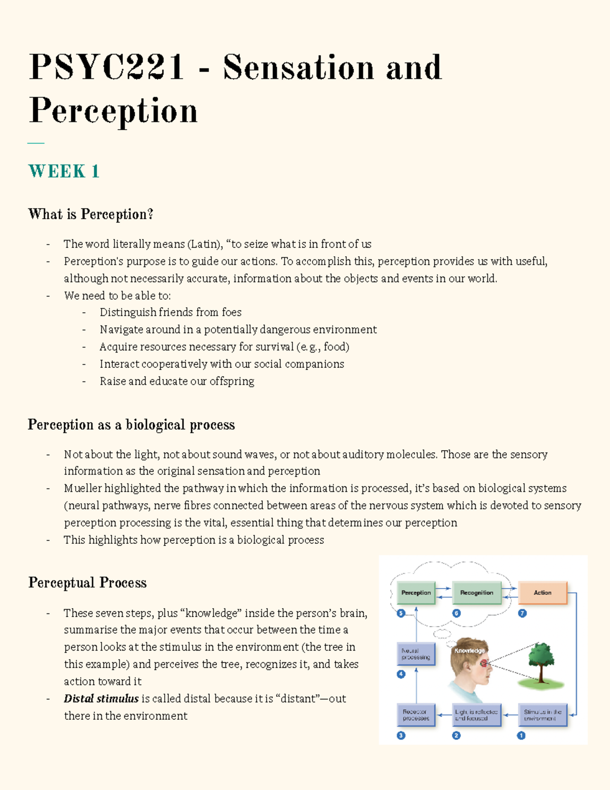 PSYC221 - Sensation and Perception - PSYC221 - Sensation and Perception ...