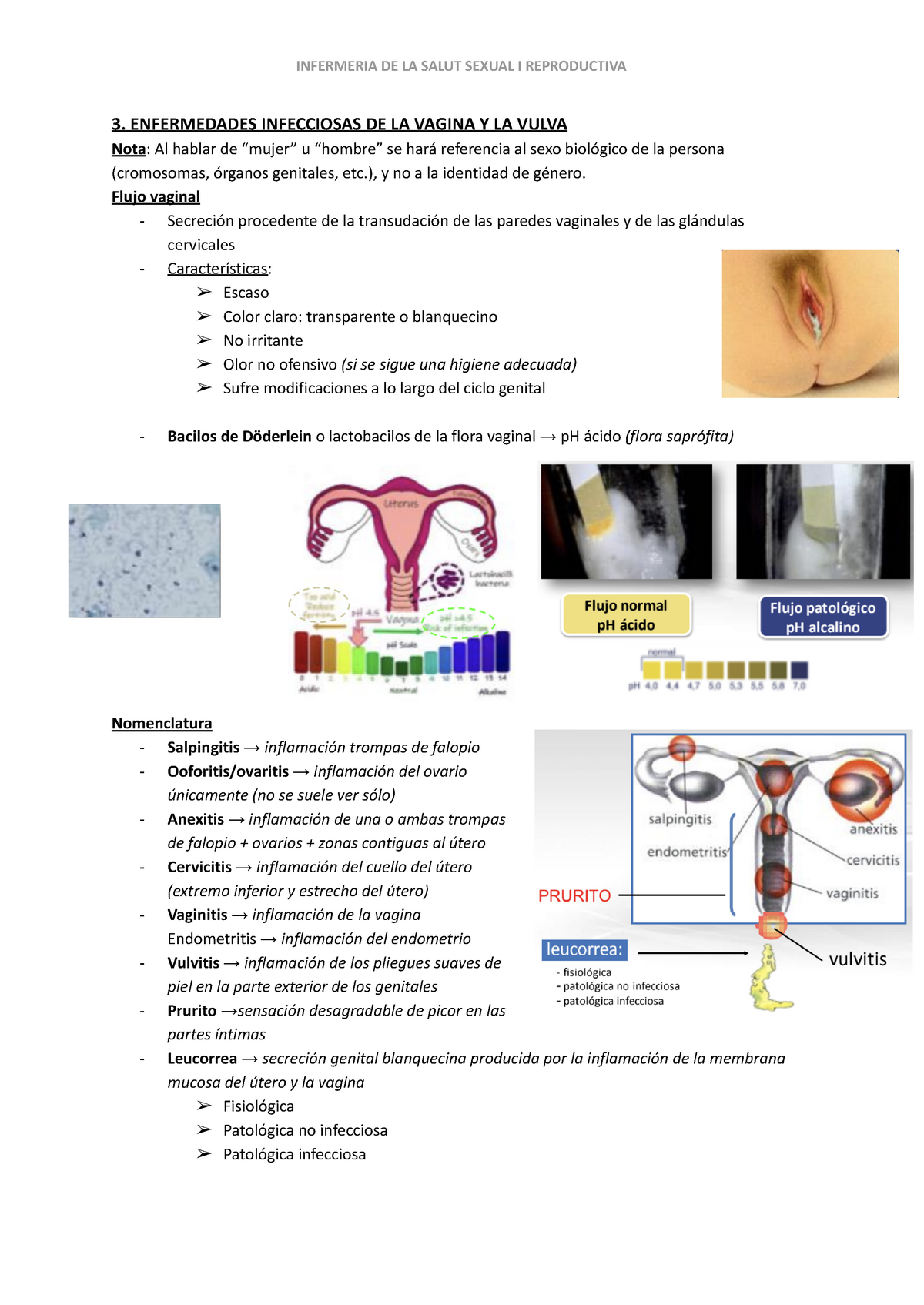 Enfermedades Infecciosas Sexual Enfermedades Infecciosas De La