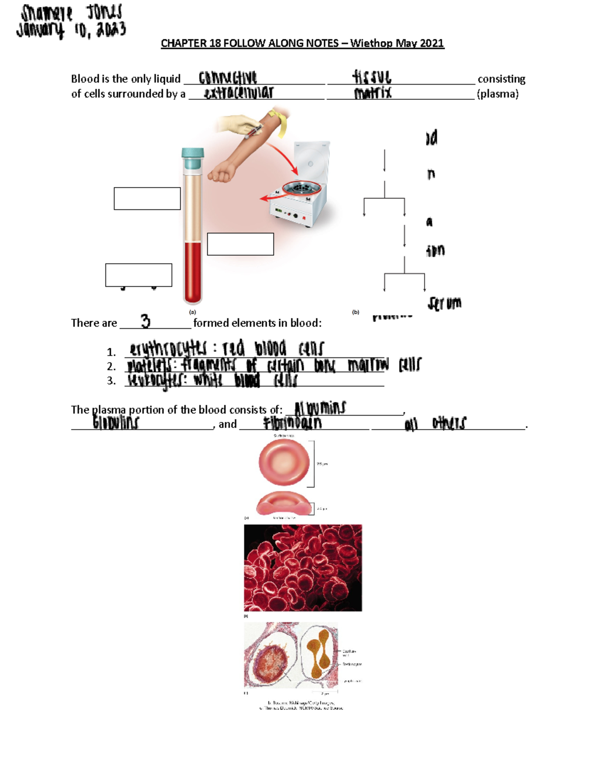 BIOS255 - CH 18 Wk 1 FAN Mc Graw Hill copy - Blood is the only liquid