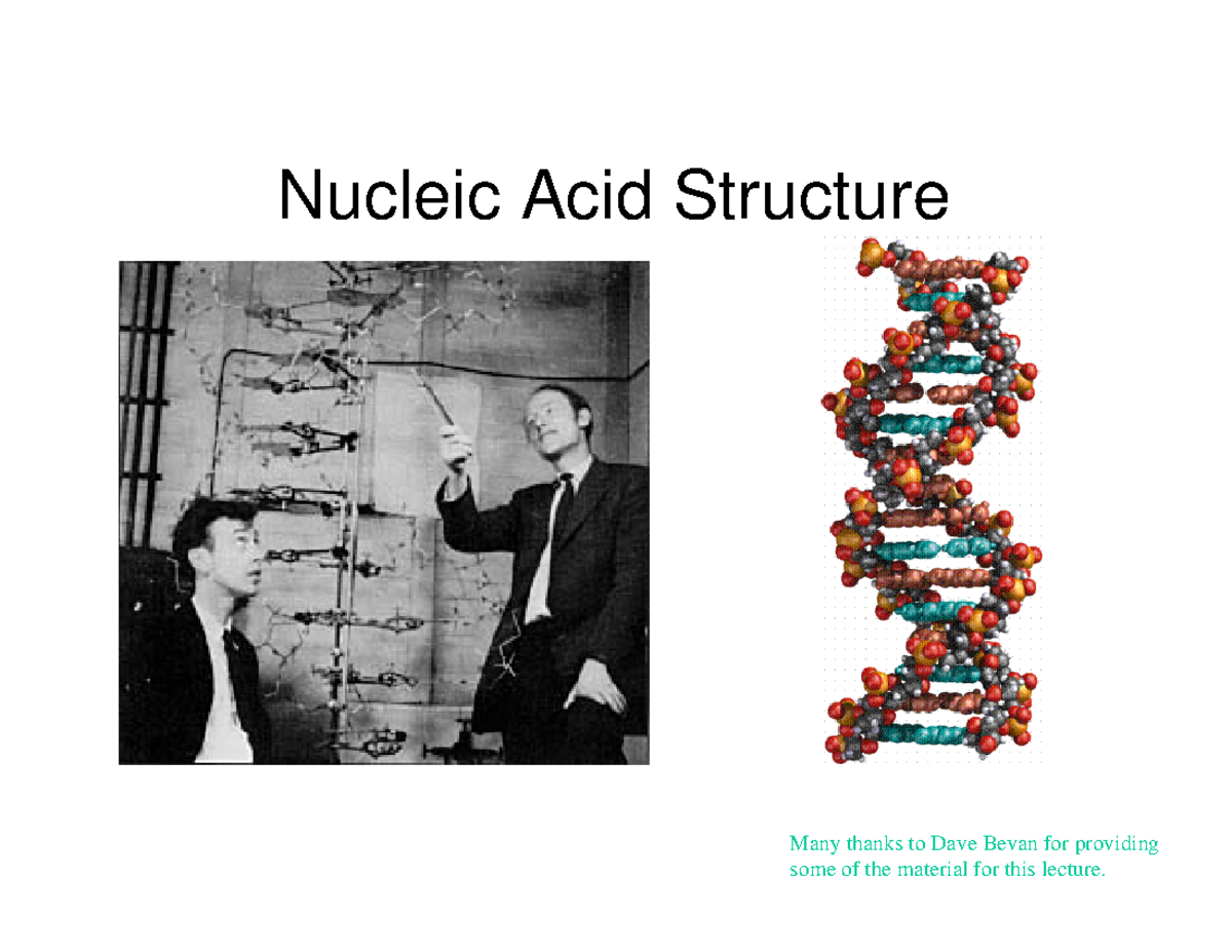 Nucleic acids 101 - Biochemistry - Nucleic Acid Structure Many thanks ...