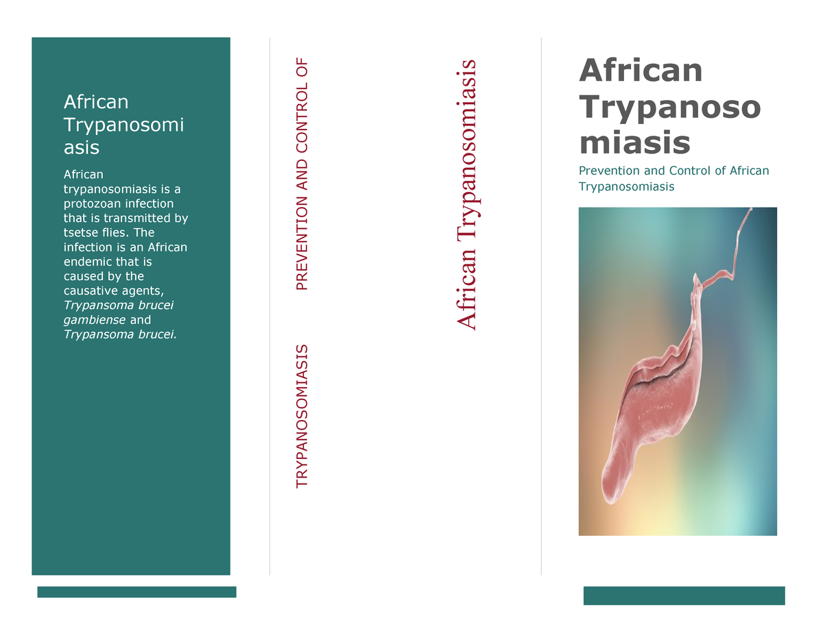 African Trypanosomiasis African Trypanosomi Asis African Trypanosomiasis Is A Protozoan 3934