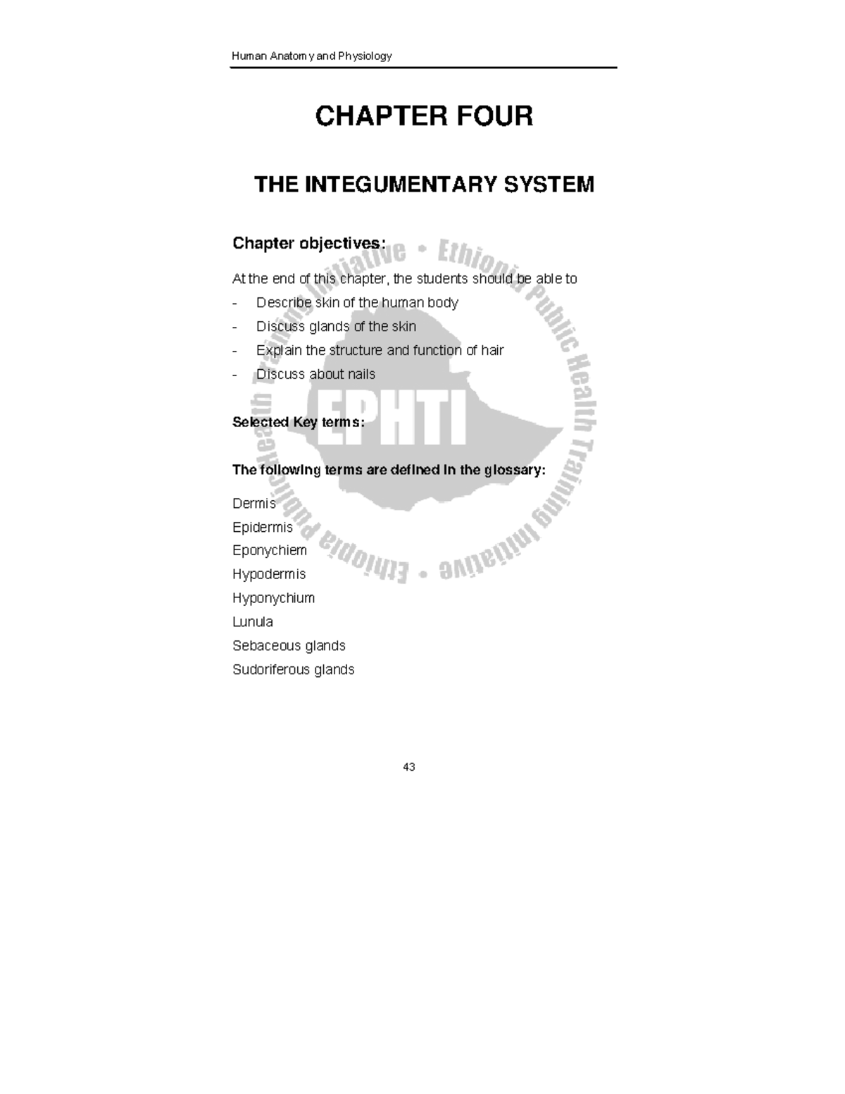 Ln human anat final5360 CHAPTER FOUR THE INTEGUMENTARY SYSTEM