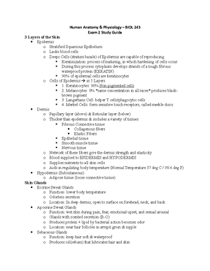 Bio 105- Lab 7-Anatomy I - Name