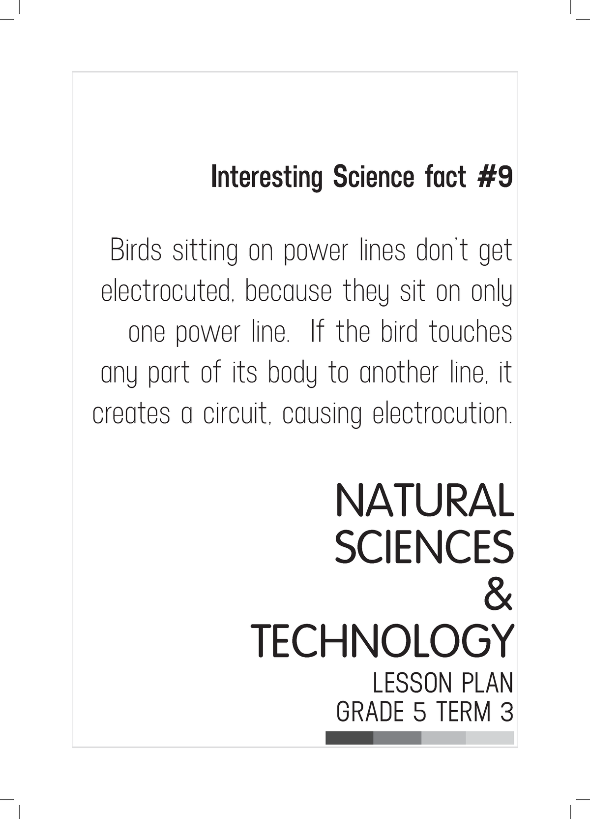 gr 5 term 3 2019 natural sciences and technology lesson plans interesting science fact birds studocu