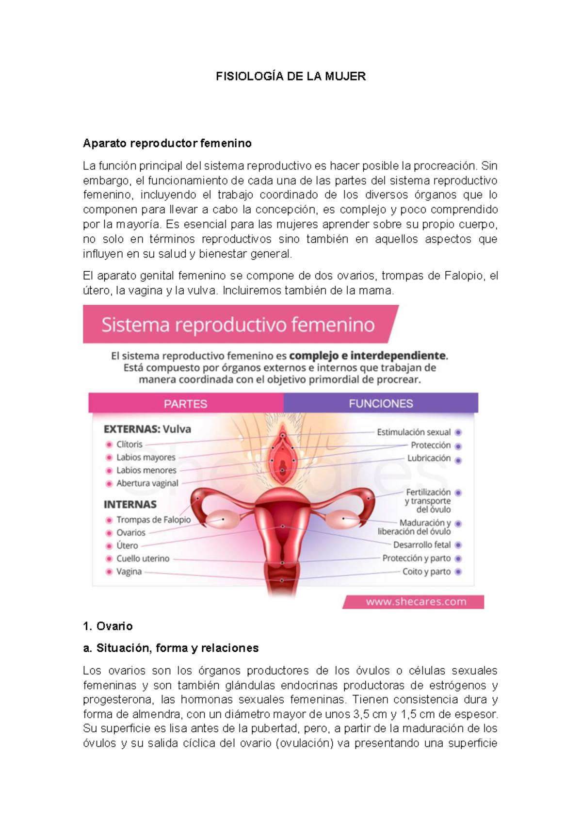Fisiología DE LA Mujer - FISIOLOGÍA DE LA MUJER Aparato reproductor ...