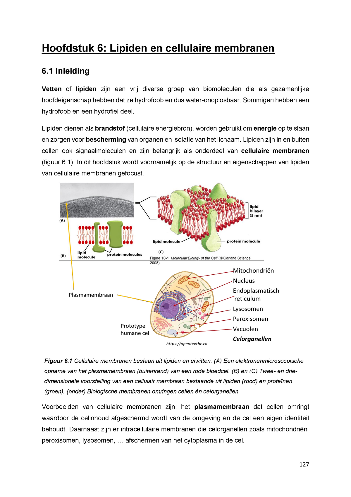 Hoofdstuk 6 Lipiden En Cellulaire Mambranen 2019-2020 - Hoofdstuk 6 ...