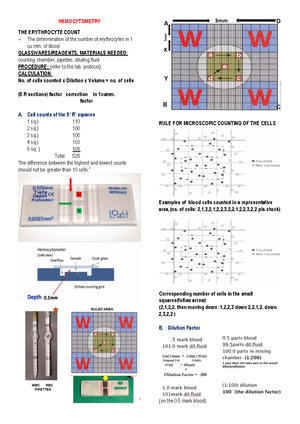 5 Hemacytometry Hematology Trans - Hematology Hemocytometer Outline of ...