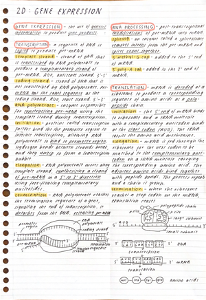 Bio Unit 3 Notes - Edrolo 2F - Protein Secretory Pathway - Studocu