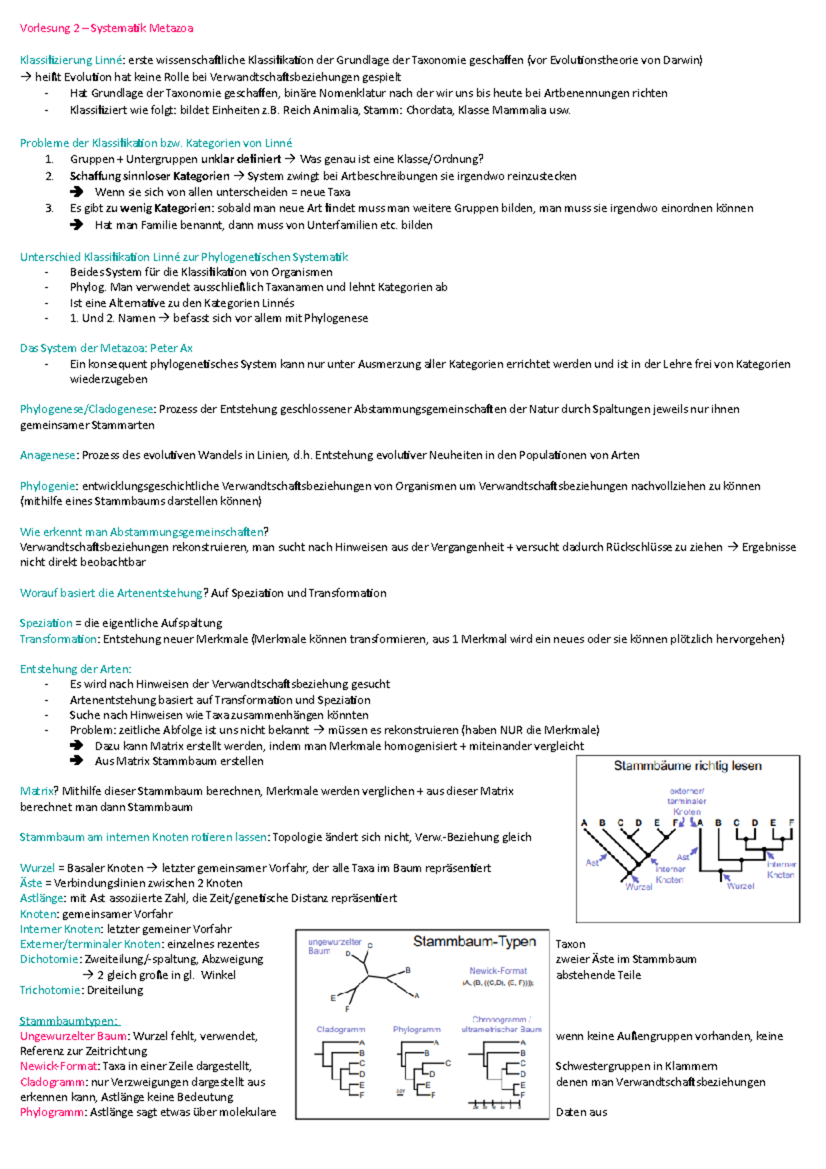 Vorlesung 2 - Vorlesung 2 – Systematik Metazoa Klassifizierung Linné ...