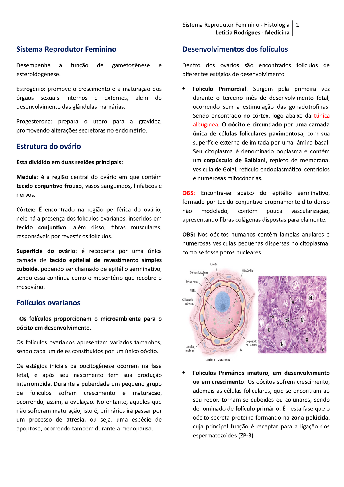 Embriologia Sistema Reprodutor Feminino Histologia E Embriologia