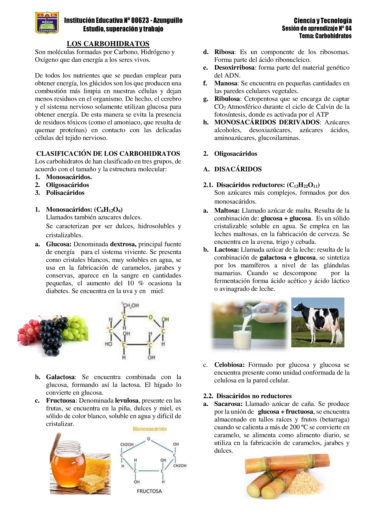 Biomoléculas Orgánicas Los Lípidos Ciencia Y Tecnología Sesión De Aprendizaje Nº 04 Tema 7670