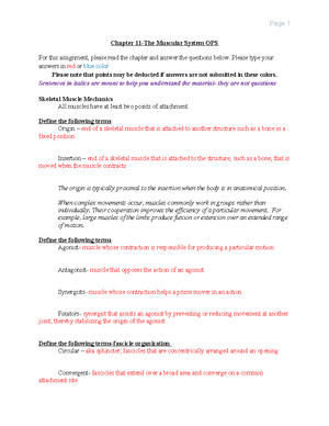 BIO 201 Chapter 7 Axial Skeleton Assignment OPS - Chapter 7-Axial ...