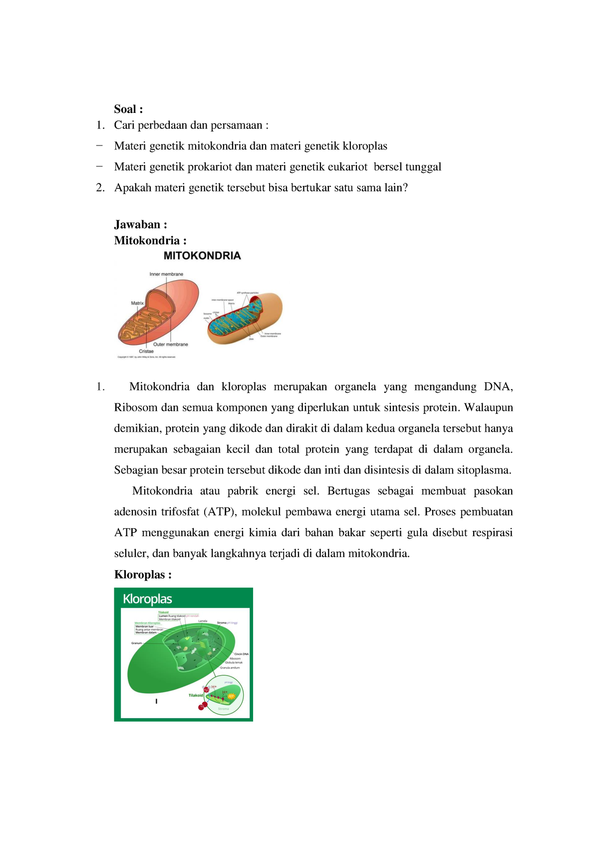 Perbandingan Sel Eukariotik Prokariotik - Soal : Cari Perbedaan Dan ...