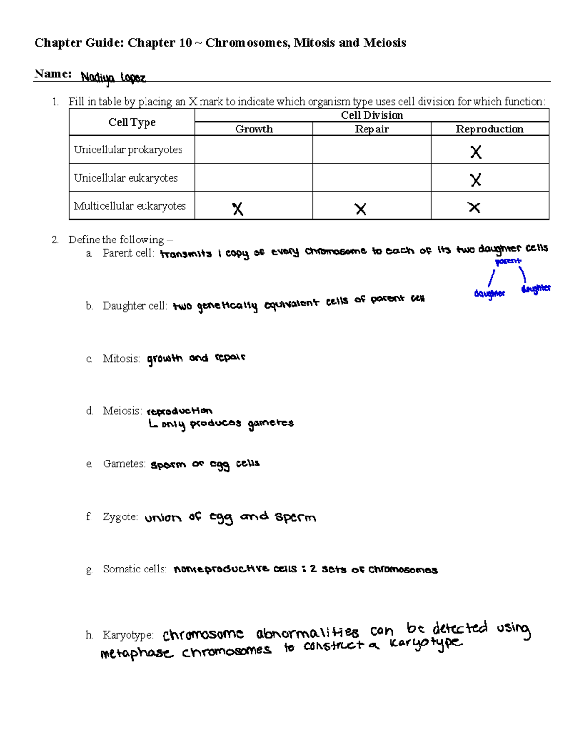 CG+Ch+10 1st - chapter guide questions for Chapter 10 - Chapter Guide ...
