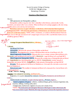 Endocrine+disorders+2+DM+Class+notes+ Answers - Xavier University ...