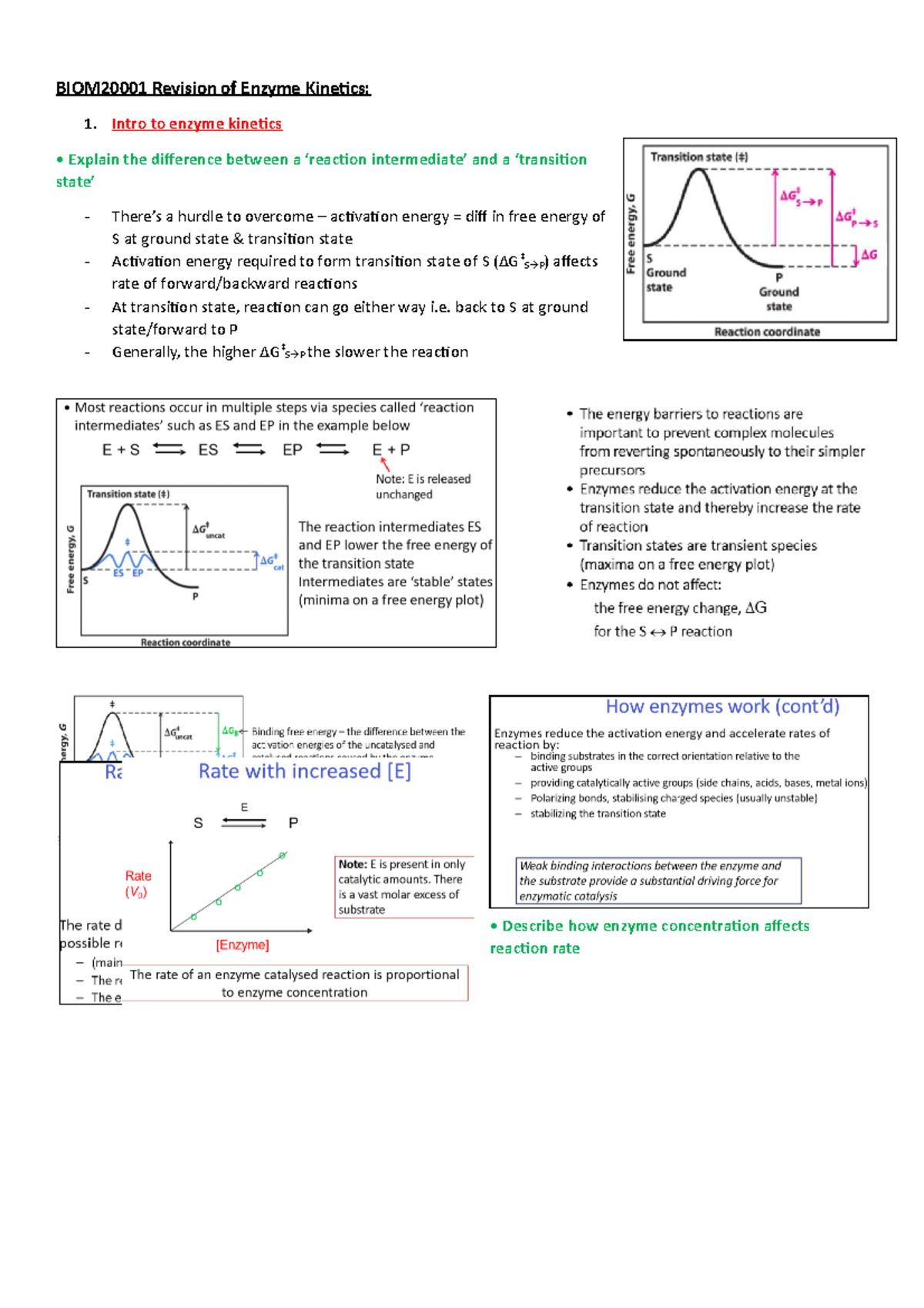 Lecture Notes for Revision of Enzyme BIOM20001 Revision of